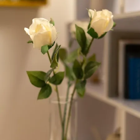 Battisti Flat, Near Station Апартаменты