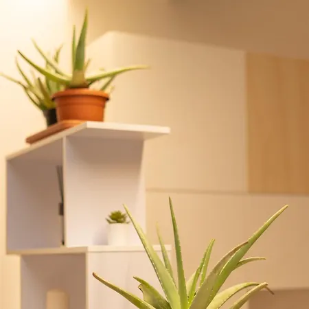 Battisti Flat, Near Station Апартаменты