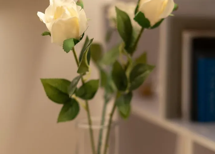 Battisti Flat, Near Station شقة