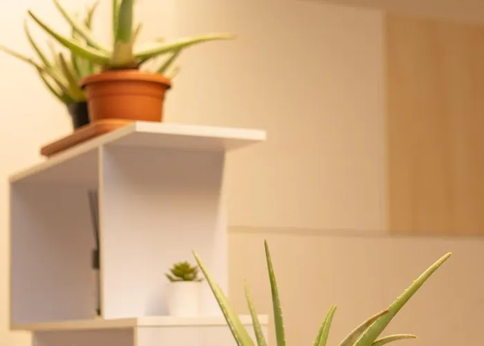 Battisti Flat, Near Station Apartament